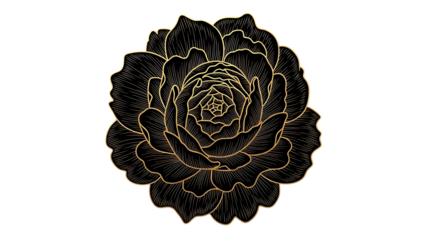 A delicate flower design isolated on transparent background with intricate details and golden outline