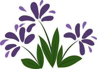 Purple Wild Flowers with Green Leaves Botanical Illustration.