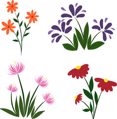 Set of Colorful Wild Flowers Botanical Vector Collection.