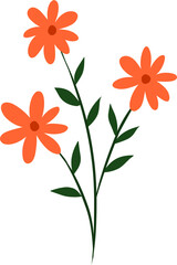 Orange Wild Flowers Botanical Illustration with Green Leaves.