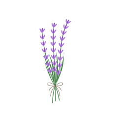 Obraz premium Illustration of lavender flowers. Lavender flowers with green leaves. Illustration of a lavender bouquet. Illustration of purple flowers