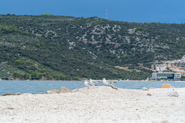 Morze Śródziemne, Chorwacja wybrzeże w rejonie Trogiru późnym latem. © Franciszek