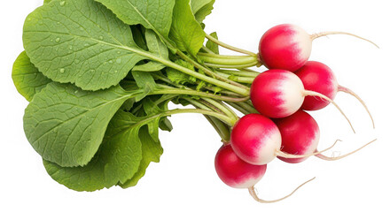 Volt energy drink can of transparent