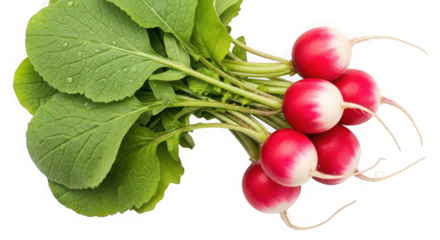 Volt energy drink can of transparent