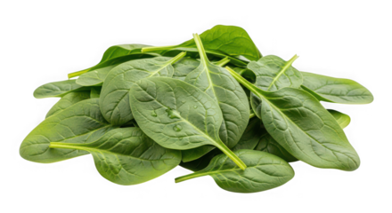 Clear glass bottle filled with fresh coconut water, of transparent