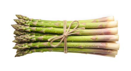 Strawberry milkshake with whipped cream and strawberry garnish of transparent