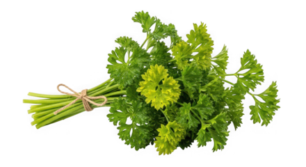 A topdown view of a cup of coffee with intricate latte art, of transparent