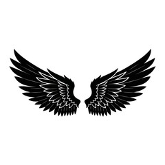 Obraz premium Detailed Black Wings Illustration with White Accents on Feathers.