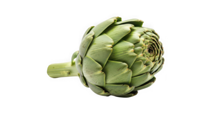 A glass teapot filled with clear herbal tea and dried flowers, of transparent
