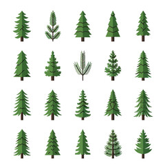 Obraz premium Collection of Green Pine Tree Illustrations for Christmas and Winter.