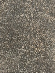 The textured surface of the concrete displays an interesting interplay between dark and light granular elements.