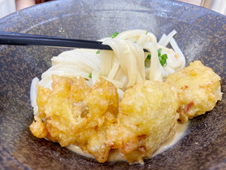 鶏天ぶっかけうどん