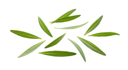 Naklejka premium A green glass bottle of apple soda of transparent