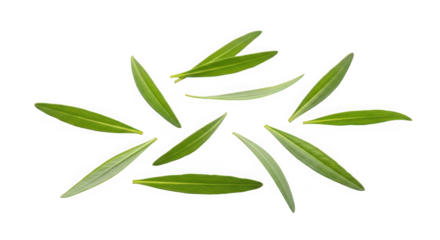 A green glass bottle of apple soda of transparent