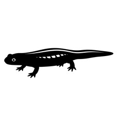 Fototapeta premium Vector icons Black silhouette of a newt amphibian icon isolated on a white background. EPS Editable
