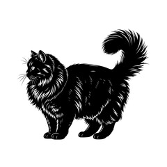Obraz premium Elegant Black Cat with Fluffy Tail in Detailed Vector Illustration.