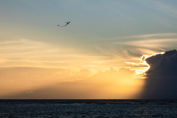 Silhouetted kite is floating over dark sea with warm sunrise shining from behind of storm cloud.