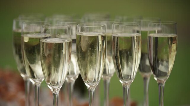 Glasses of Chablis wine stand on a background of green grass, bubbles rise inside the glasses. Several glasses of sparkling wine.