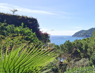Coast of Mallorca Island.