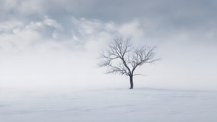 A lone tree stands in a vast snowy landscape under a cloudy sky