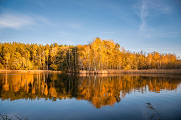 autumn trees reflected in water