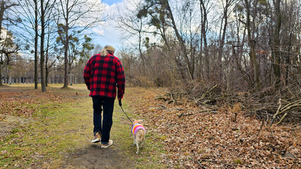 Herbstlicher Spaziergang mit Hund 