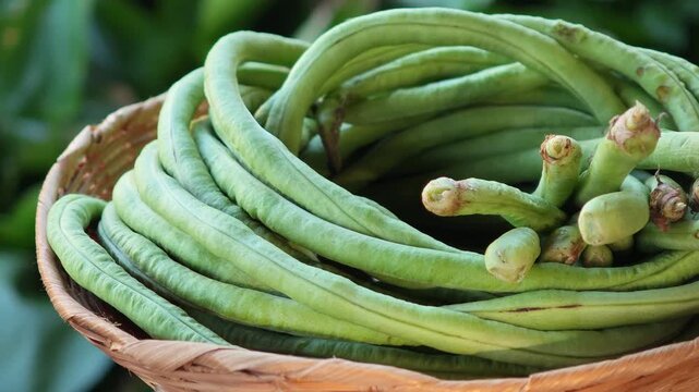 Green beans in a basket