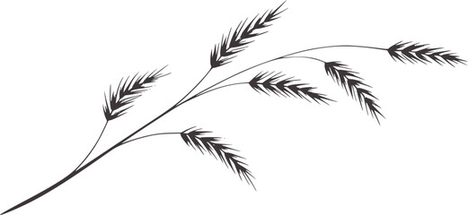 Minimalist black and white line of wheat stalks white