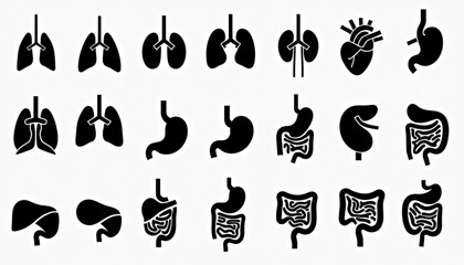 Human Internal Organs Silhouette Set in Grid on White Background