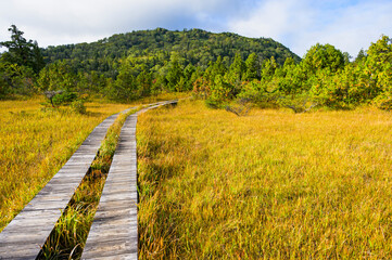 燧ヶ岳御池コースの広沢田代