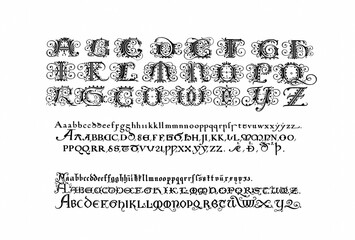 Decorative alphabet letter with artistic and ornate typography, detailed linework and stylized design, ideal for logos, posters, tattoos and branding.