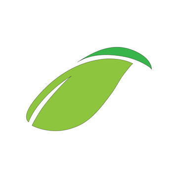 Abstract Green Leaf Logo Eco Nature Symbol