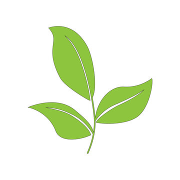 Green Leaf Branch Icon Eco Nature Flat Illustration