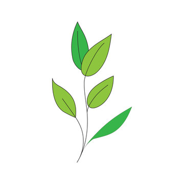 Green Plant Branch Illustration Minimal Botanical Style