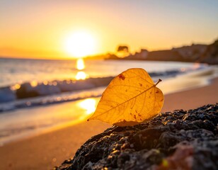 A single, golden leaf rests on a weathered rock, backlit by a vibrant, hazy sunset over the ocean. Waves gently lap the sandy shore