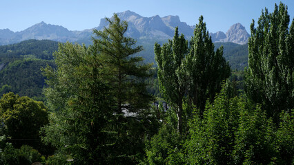 Fototapeta premium forest and mountains in the alpes