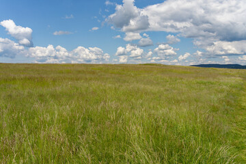 Obraz premium Landschaft im Kali-Becken am See Kornyi-to bei Kőveskál, Nationalpark Balaton-Oberland, Balaton, Ungarn