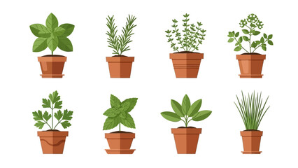 Fototapeta premium Collection of diverse potted herbs illustration for gardening and culinary use, offering a variety
