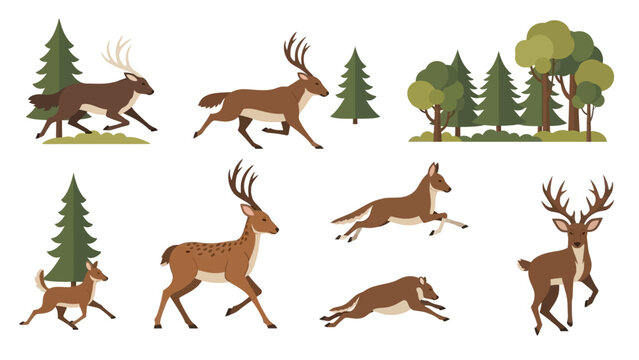 Illustration of running deer in various poses and forest elements on white background