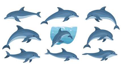Fototapeta premium Delightful dolphin illustration showcasing a variety of graceful marine mammal poses and expressions
