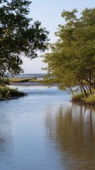 Tranquil Tidal Water Reflecting Trees in Vertical Frame During Twilight Time