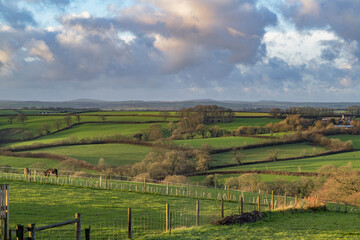 West country rolling hills winter sunshine
