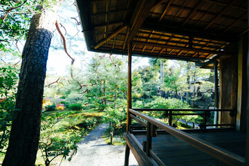 Fototapeta premium 京都の無鄰菴の庭園