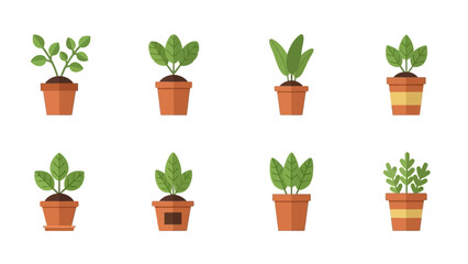 Obraz premium Collection of Small Potted Plants with Green Leaves in Brown Terra Cotta Pots