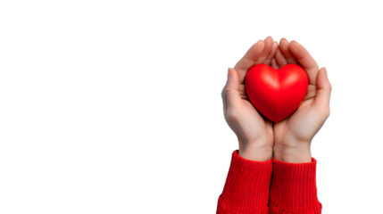 Hands holding a red heart on a blue background