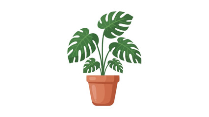 Beautiful flat vector illustration of a monstera plant in a terracotta pot for your design projects