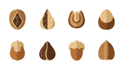 Various types of nuts, presented as simple, colorful vector icons on a white background