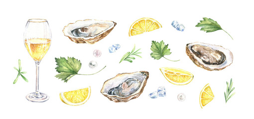 Watercolor clipart of oysters in shells, lemon slices, pearls, ice, glass of champagne and fresh greenery. Hand-drawn illustration isolated on white background. Mediterranean fresh raw seafood. © Victoria Pak