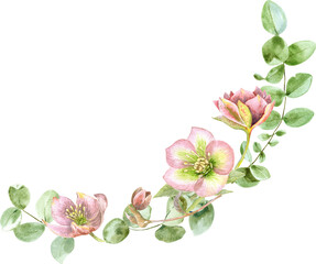 Watercolor branch of eucaliptus