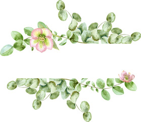 Watercolor border of eucaliptus